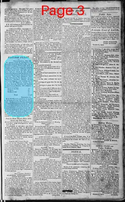 Page thumbnail for Martinsburgh Gazette