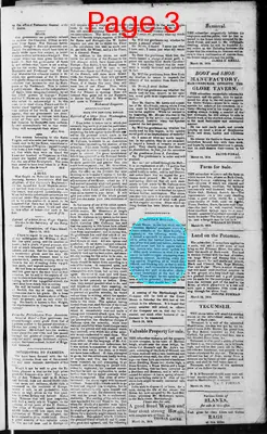 Page thumbnail for Martinsburgh Gazette