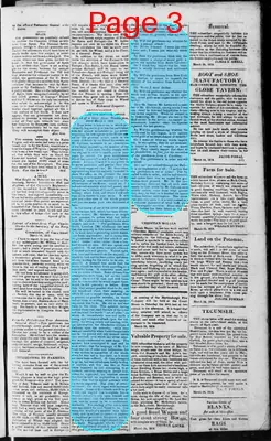 Page thumbnail for Martinsburgh Gazette