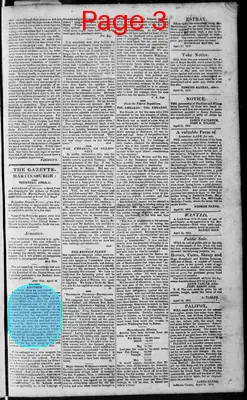 Page thumbnail for Martinsburgh Gazette