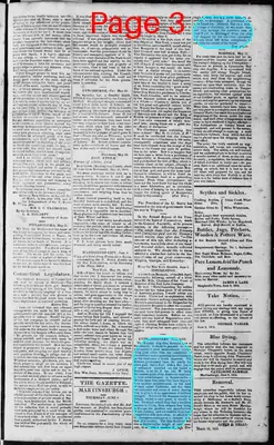 Page thumbnail for Martinsburgh Gazette