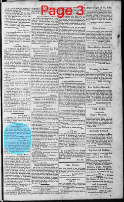 Page thumbnail for Martinsburgh Gazette