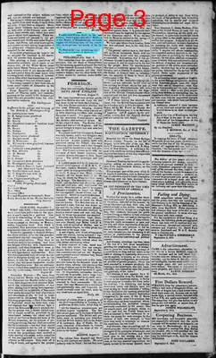 Page thumbnail for Martinsburgh Gazette