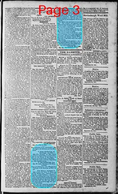 Page thumbnail for Martinsburgh Gazette