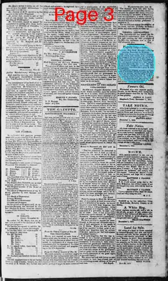Page thumbnail for Martinsburgh Gazette