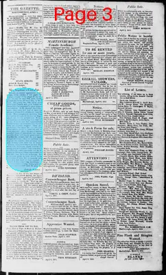 Page thumbnail for Martinsburgh Gazette