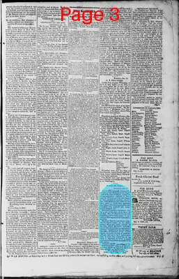 Page thumbnail for Martinsburgh Gazette