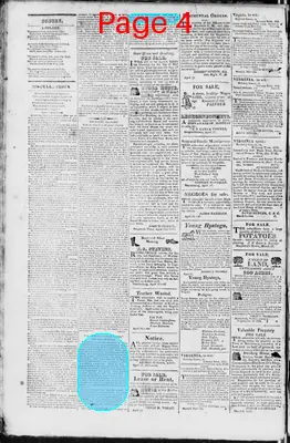 Page thumbnail for Martinsburgh Gazette