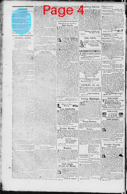 Page thumbnail for Martinsburgh Gazette