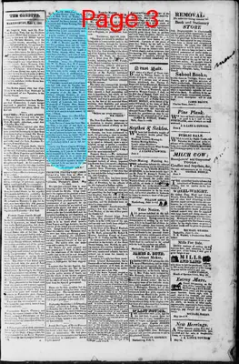 Page thumbnail for Martinsburgh Gazette