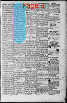 Page thumbnail for Martinsburgh Gazette