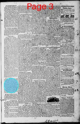 Page thumbnail for Martinsburgh Gazette