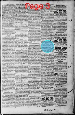 Page thumbnail for Martinsburgh Gazette