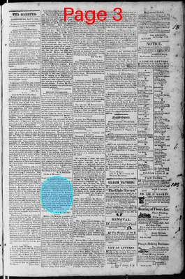 Page thumbnail for Martinsburgh Gazette