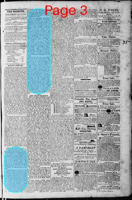 Page thumbnail for Martinsburgh Gazette