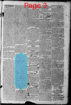 Page thumbnail for Martinsburgh Gazette