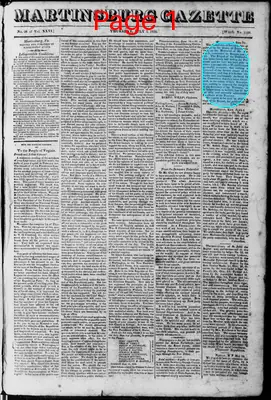 Page thumbnail for Martinsburgh Gazette