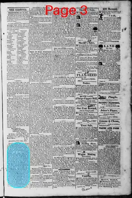 Page thumbnail for Martinsburgh Gazette