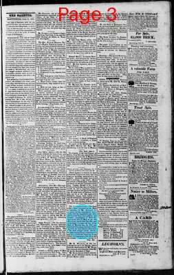 Page thumbnail for Martinsburgh Gazette