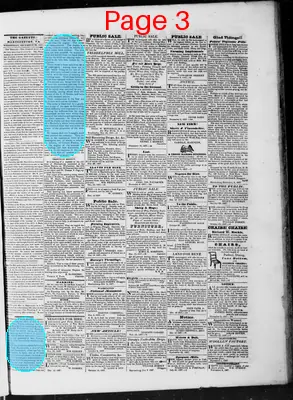 Page thumbnail for Martinsburg Gazette