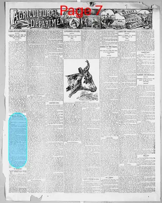 Page thumbnail for Weekly Courier Journal