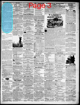 Page thumbnail for The Ottawa Free Trader