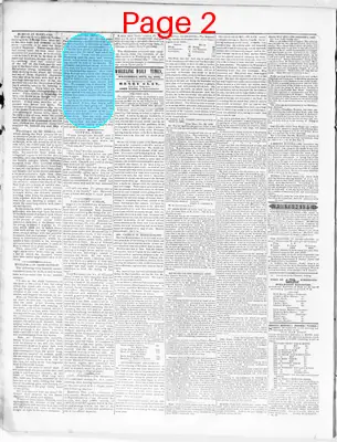 Page thumbnail for Wheeling Times And Advertiser