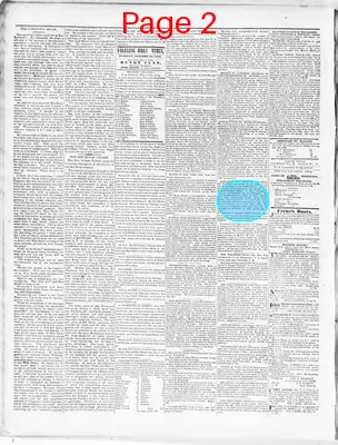 Page thumbnail for Wheeling Times And Advertiser