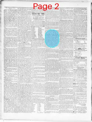 Page thumbnail for Wheeling Times And Advertiser