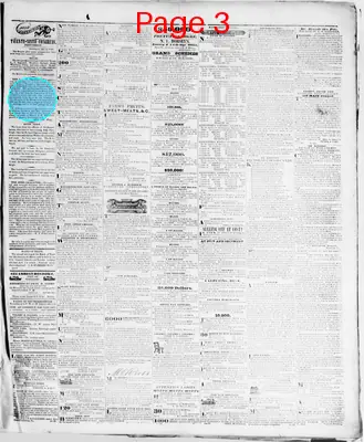 Page thumbnail for Wheeling Times And Advertiser