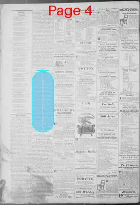 Page thumbnail for Virginia Statesman