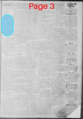 Page thumbnail for Virginia Statesman