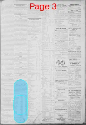 Page thumbnail for Virginia Statesman