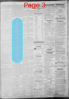 Page thumbnail for Virginia Statesman