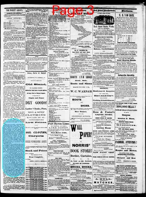 Page thumbnail for The Evening Argus