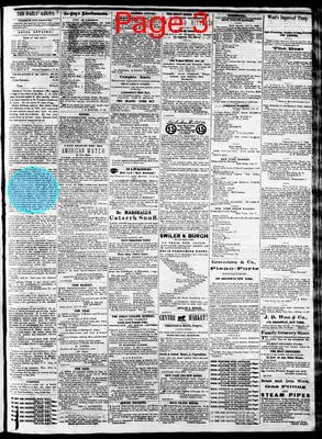 Page thumbnail for The Evening Argus
