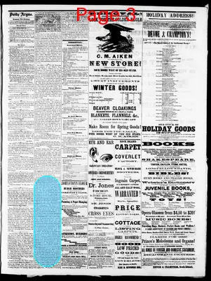 Page thumbnail for The Evening Argus