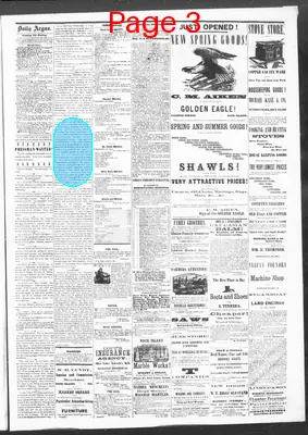 Page thumbnail for The Evening Argus