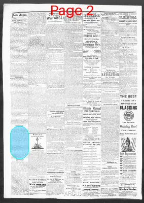 Page thumbnail for The Evening Argus