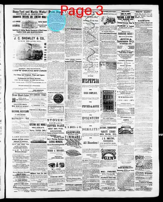 Page thumbnail for The Evening Argus