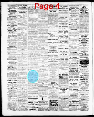 Page thumbnail for The Evening Argus