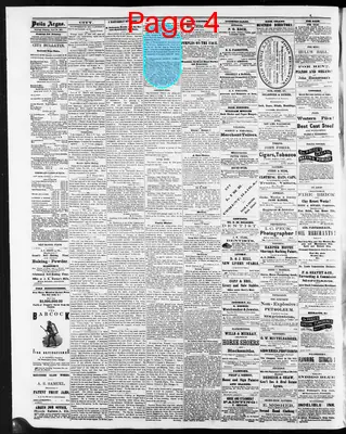 Page thumbnail for The Evening Argus