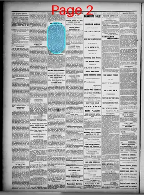 Page thumbnail for Los Angeles Daily Herald