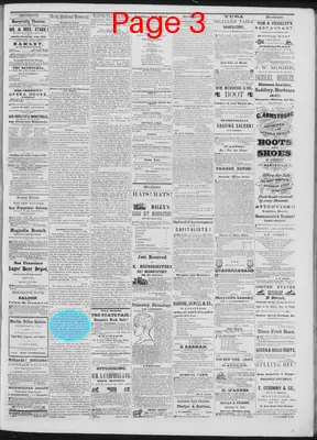 Page thumbnail for Daily National Democrat