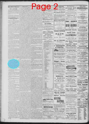Page thumbnail for Daily National Democrat