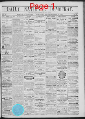 Page thumbnail for Daily National Democrat