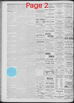Page thumbnail for Daily National Democrat