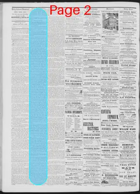 Page thumbnail for Daily National Democrat
