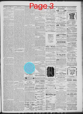 Page thumbnail for Daily National Democrat