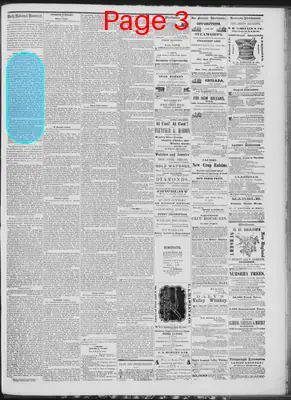Page thumbnail for Daily National Democrat